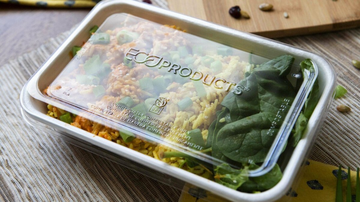 GreenStripe WorldView Renewable & Compostable Lid, Low Profile Vented, Fits 24 - 32oz Rectangle Molded Fiber Take-Out Containers (QTY:400)