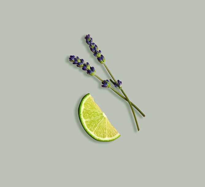 Organic Lavender Lime Body Butter – Restore & Refresh