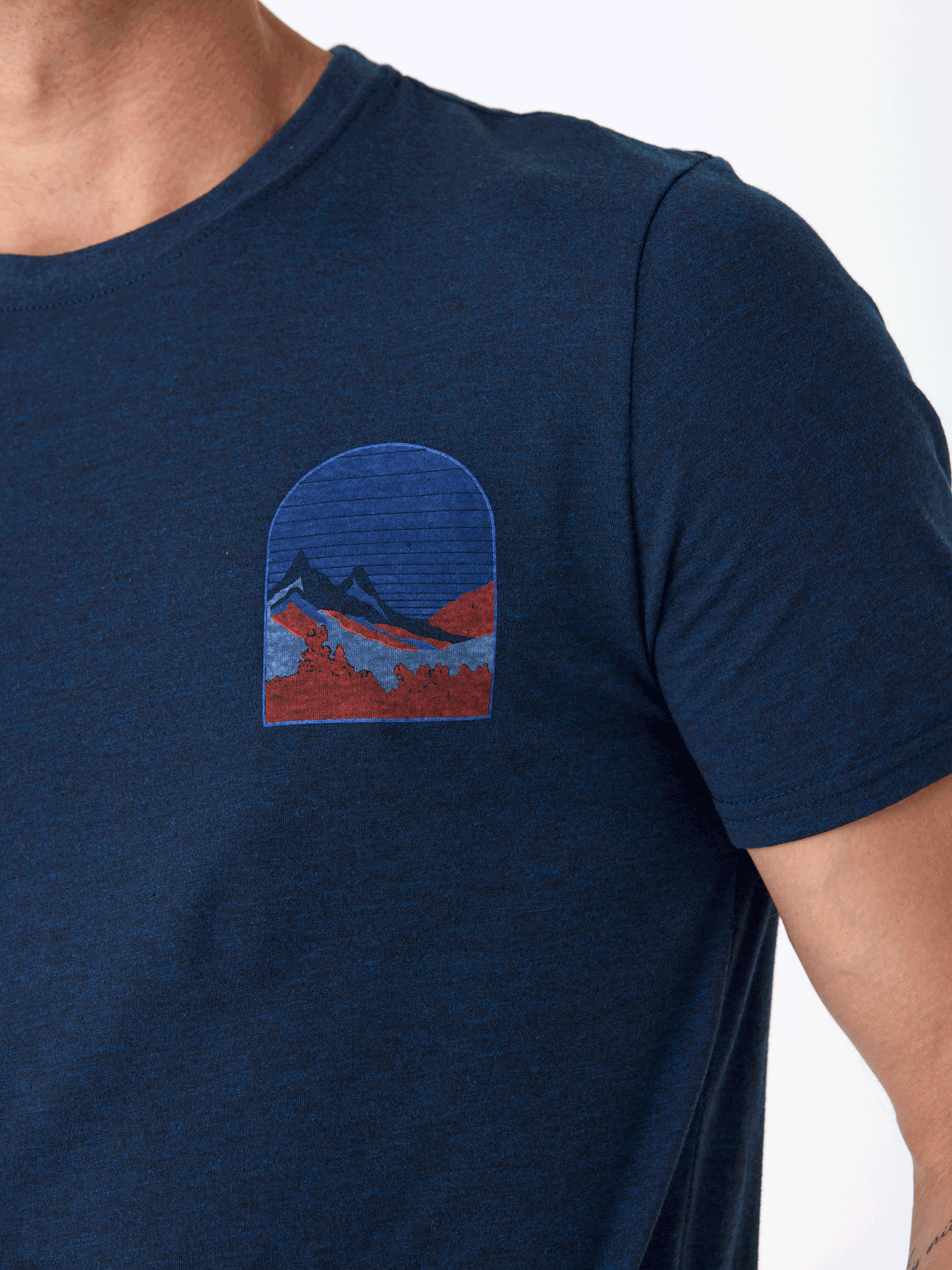 Triblend Graphic Tee