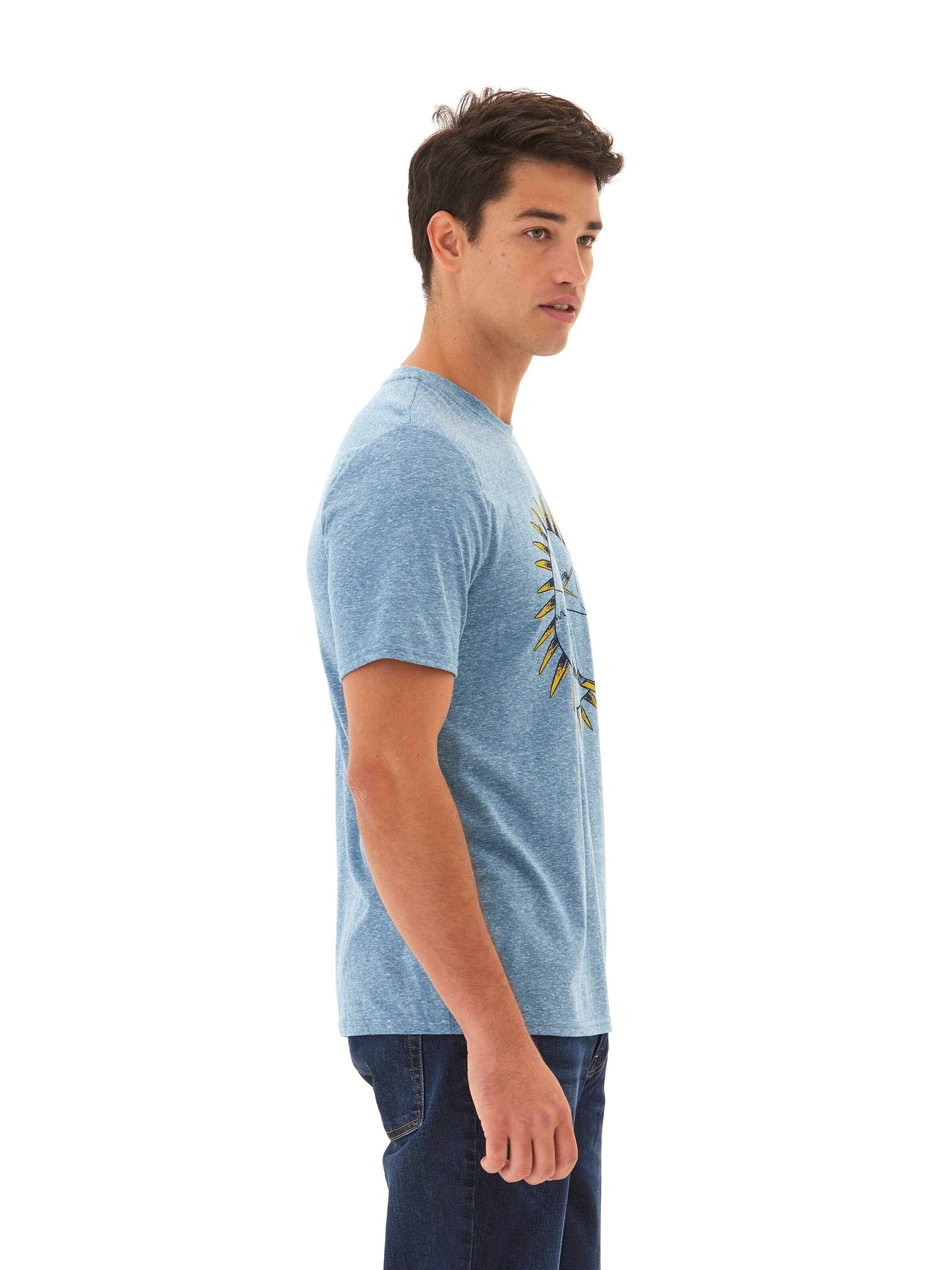 Triblend Graphic Tee