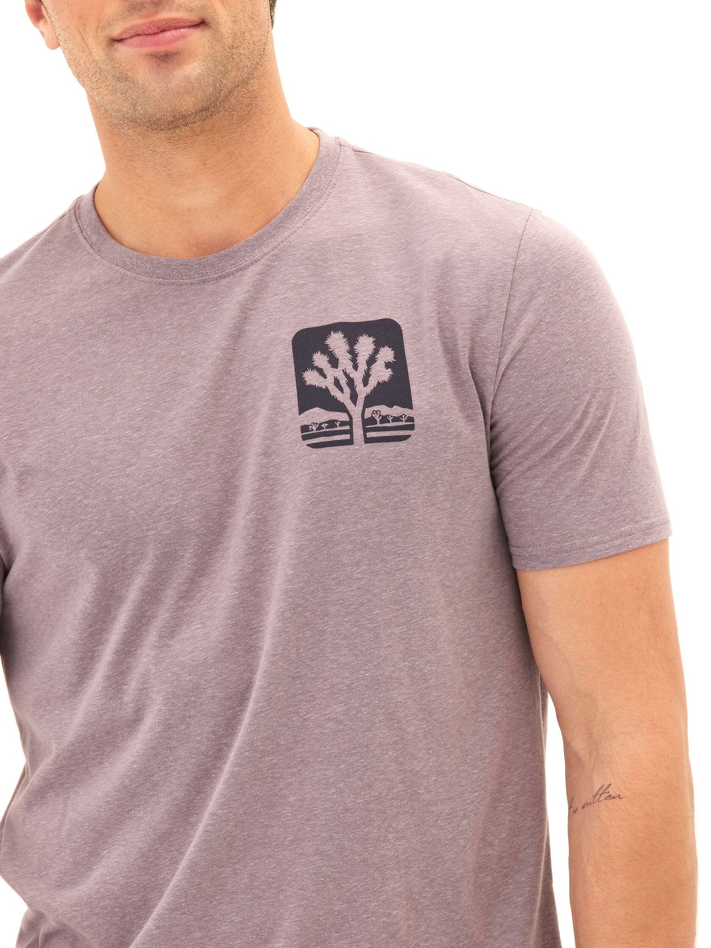 Triblend Graphic Tee