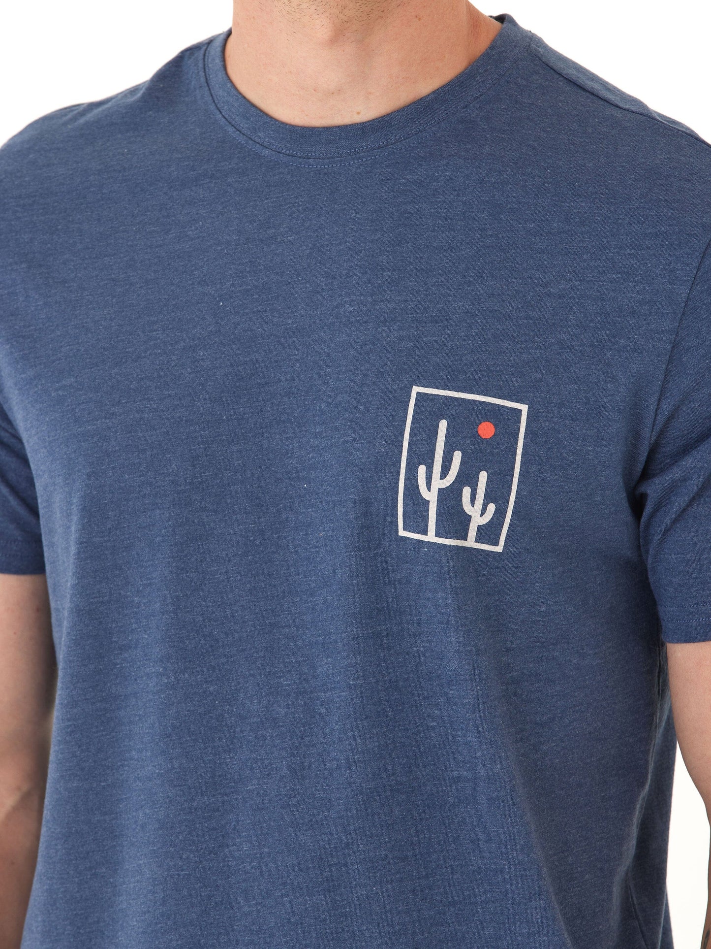 Soft Wash Graphic Tee