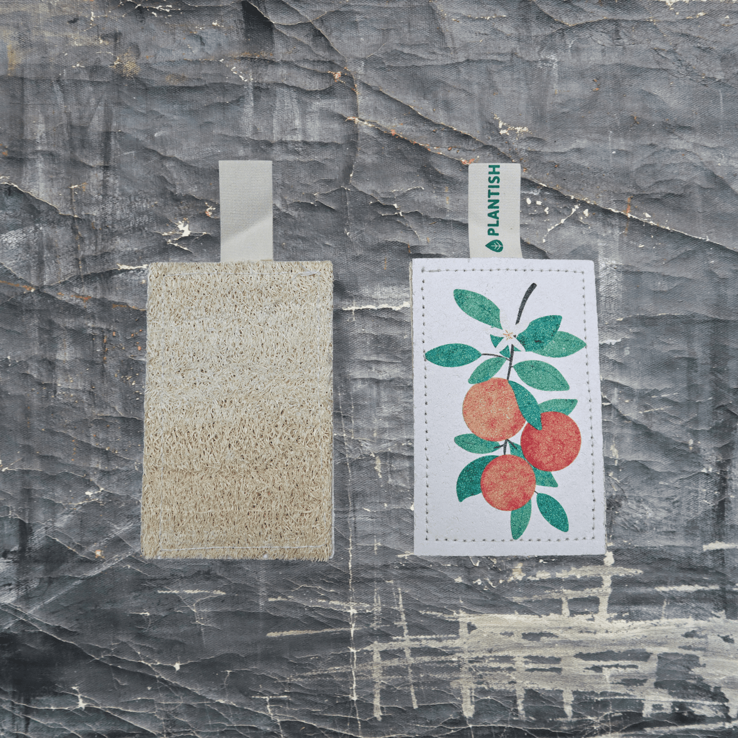 Orange - NEW Eco Sponge