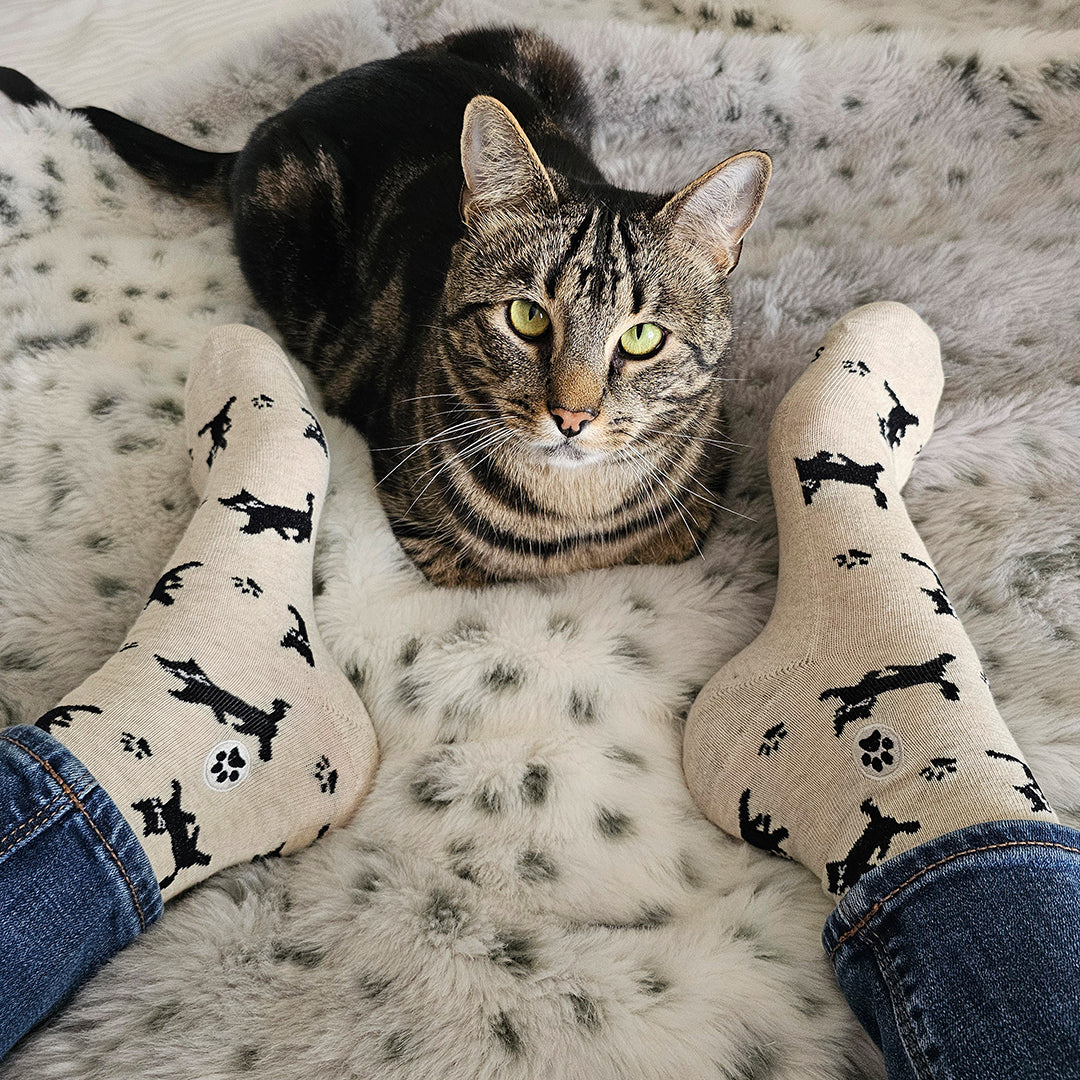 Socks that Save Cats