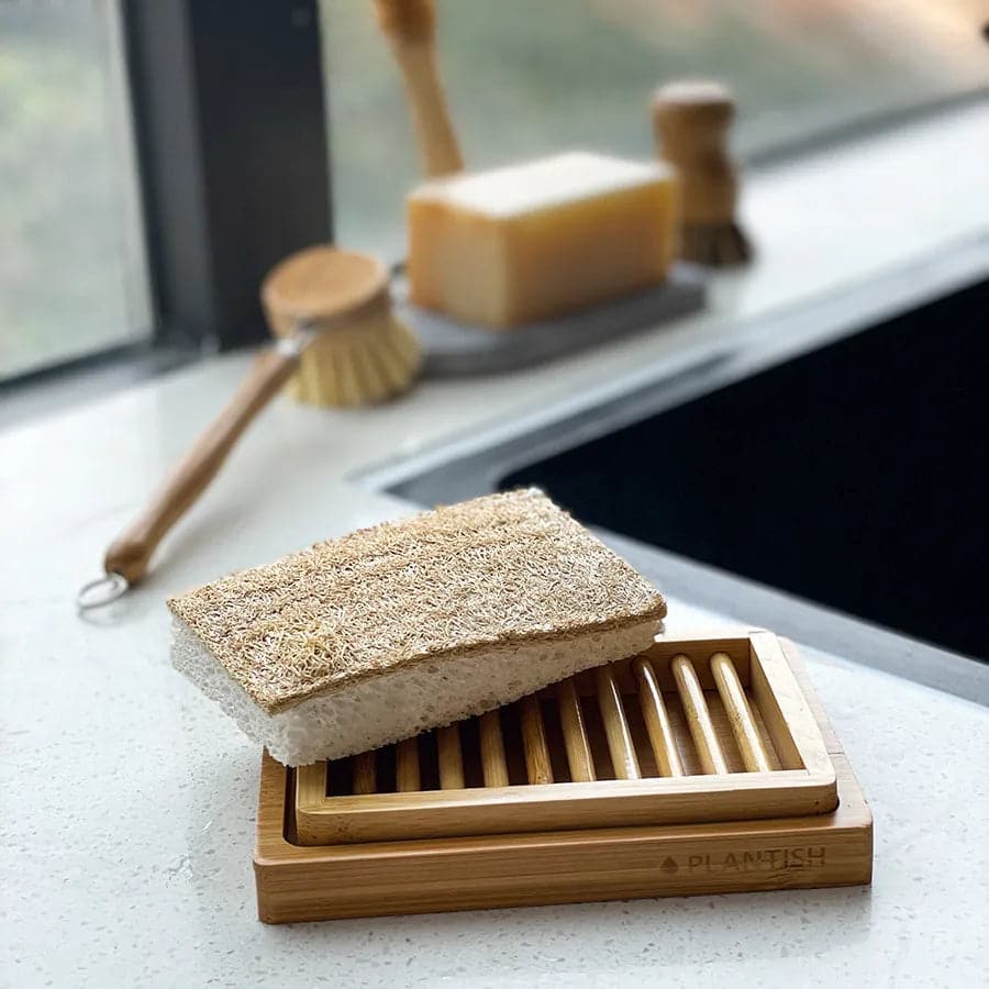 Orange - NEW Eco Sponge
