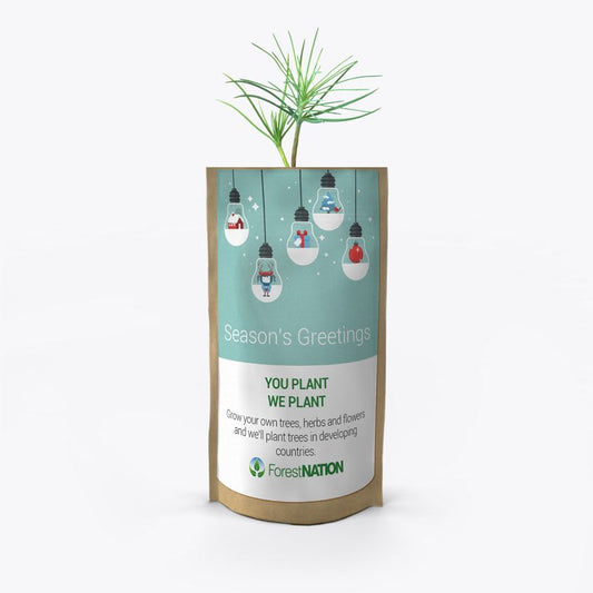 Season's Greetings Light Bulbs Growing Kit
