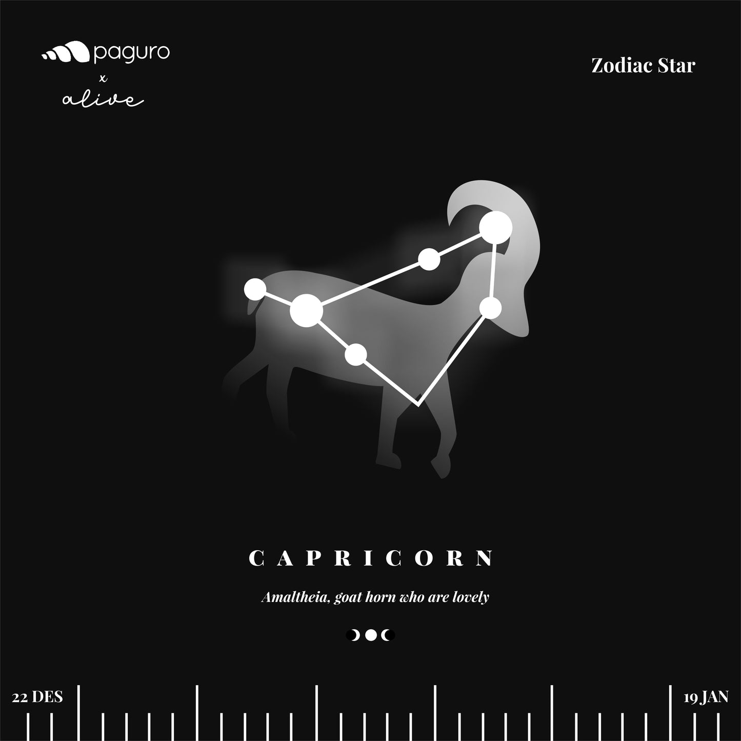 Capricorn Zodiac Sign Sustainable Necklace