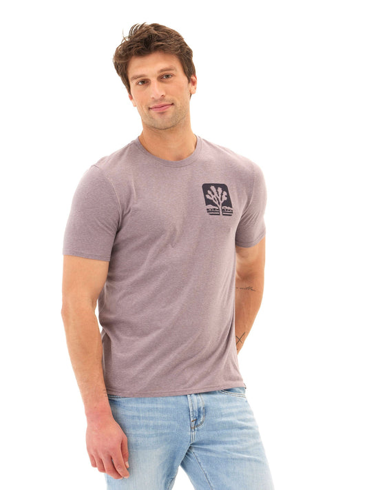 Triblend Graphic Tee