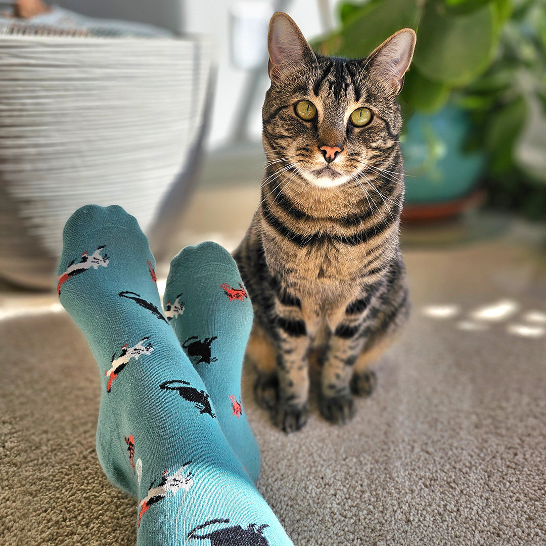 Socks that Save Cats