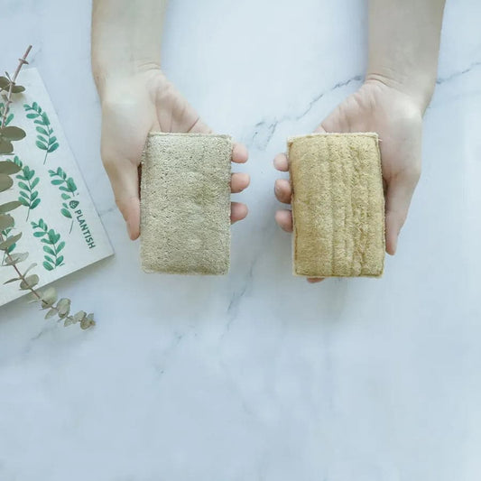 Orange - NEW Eco Sponge